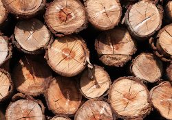 Chcete vytúžené teplo? Naučte sa najskôr v krbe kúriť