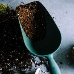 Nová záhrada – tipy a rady pre začiatočníkov